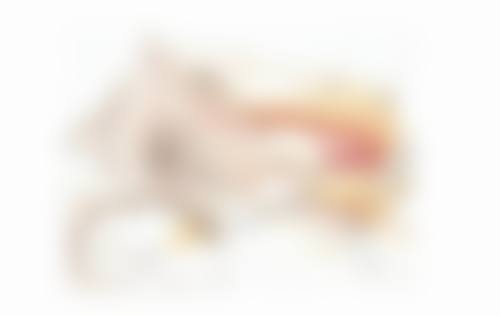 天津雅之兰医美医疗美容诊所医生简介