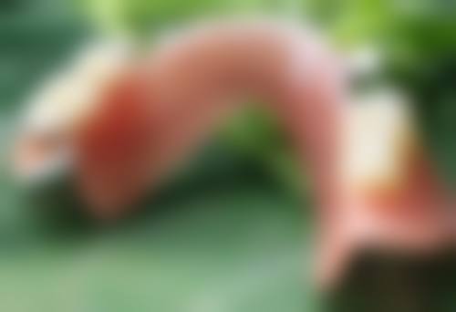 韩国美白针的注射疗程