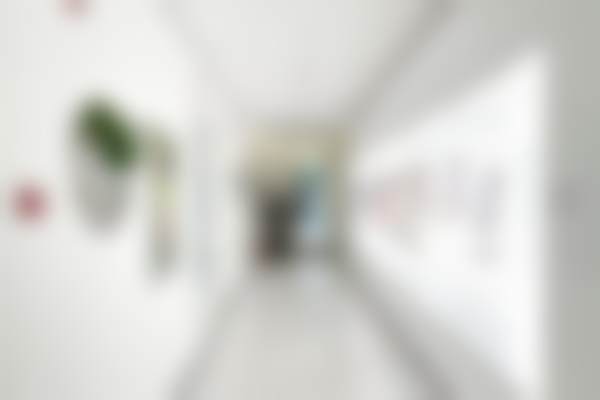 北京纯脂孙泽芳医生的脂肪整形技术有啥过人之处?