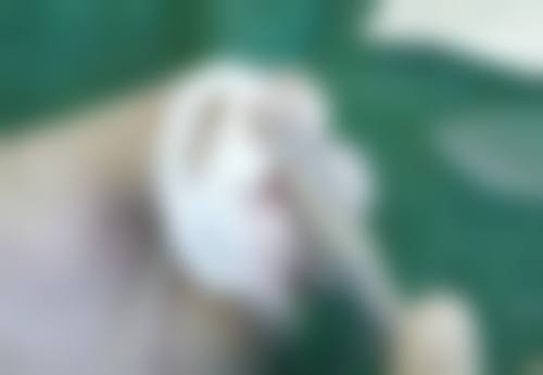 重庆骑士医学整形美容科医生简介