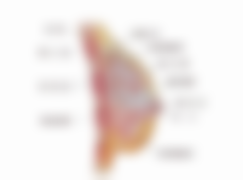 天津医 科 大学眼科医院(眼眶病与眼整形科)收费标准参考