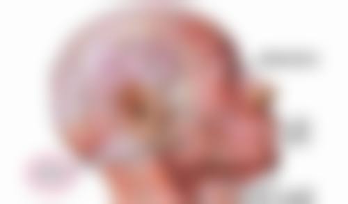 哈尔滨欧兰仁美医院医院技术好不好？