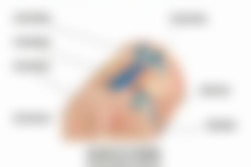 包皮手术能延长性时间吗？部分人或可行，其他因素致早泄手术未必有效