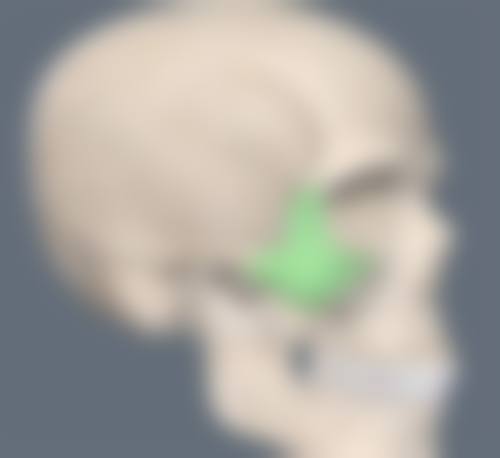 食疗和按摩丰胸的作用