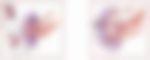 哈尔滨哈美莱医疗美容医院王晓龙从医荣誉