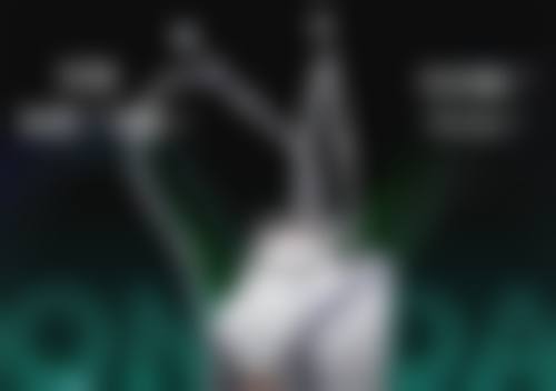 影响种植的头发一个月生长量的因素