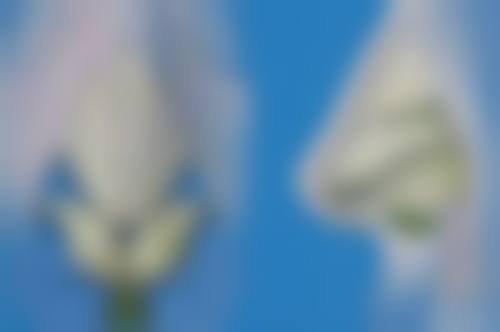 深圳博研医疗美容门诊部医院技术好不好？