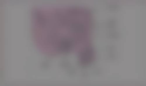 苏州张小熊医疗美容诊所口碑如何？