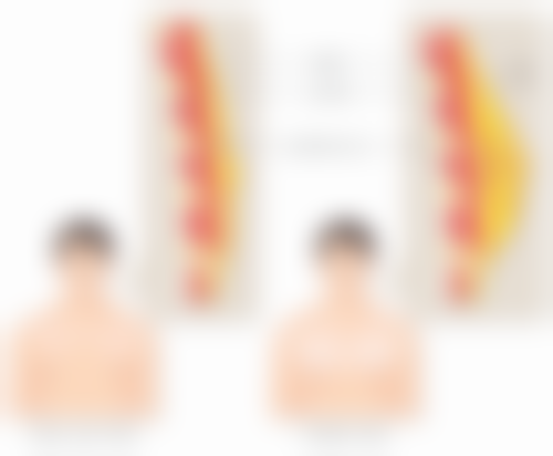 下颚和下颌的位置区别