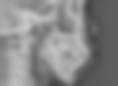 北海红粉丽人整形医院医生简介