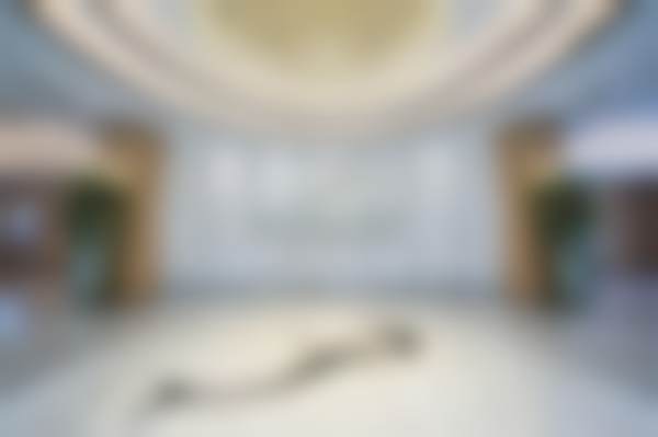 武汉美莱张雨医生主打项目及2026年收费参考