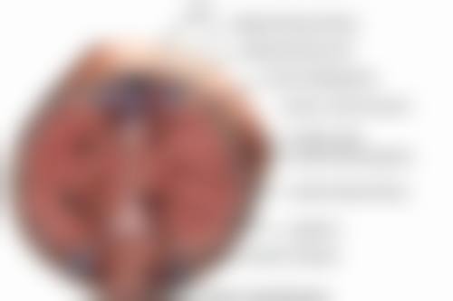 台州昊阳医疗美容门诊部医生简介