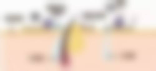 总结——佳木斯市中 心医院怎么样？