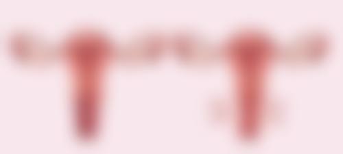 武汉蜜司整形医院医生简介