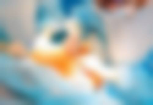 总结——深圳呈悦医疗美容门诊部庄家荣医生怎么样？