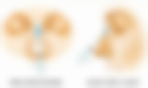 廊坊市东方仕典美容收费标准参考