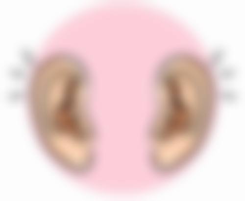 廉江市人民医院烧伤整形外科电话号码及预约方法