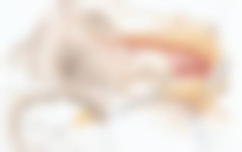 武汉市妇女儿童医疗保健中 心整形外科向施红医生技术好不好?