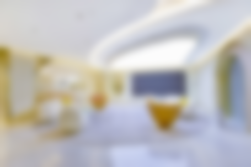 北京市北京米兰柏羽丽都医疗美容医院的保护有哪些？