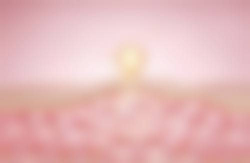 武汉施美尔整形医院王培杰医生挂号预约攻略