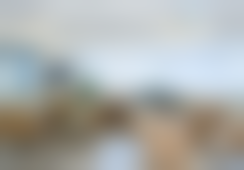 重庆星荣整形外科医院科普：射极峰假体垫眉弓适合哪些人？