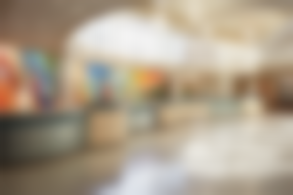 河南省人民医院整形外科侴海燕从医荣誉