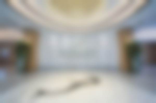 武汉美莱医疗美容医院朴一飞的技术实力有啥过人之处?