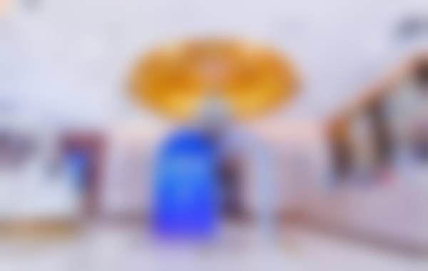 北京米兰柏羽丽都李晓蓉医生的技术风格与口碑怎么样？