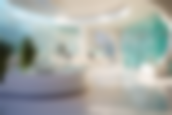 佛山市第二人民医院整形科医生简介