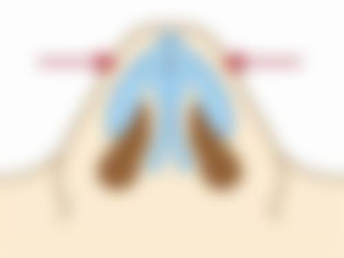 余姚京澜星汇医疗美容诊所医生简介