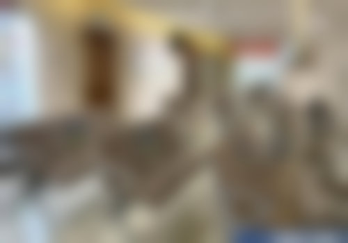 哈尔滨爱尔眼科医院医疗团队