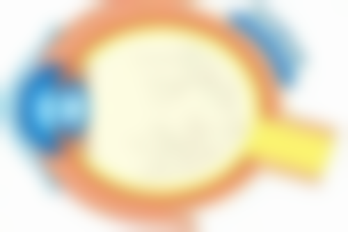 Eminal Clinic 横滨医院技术好不好？