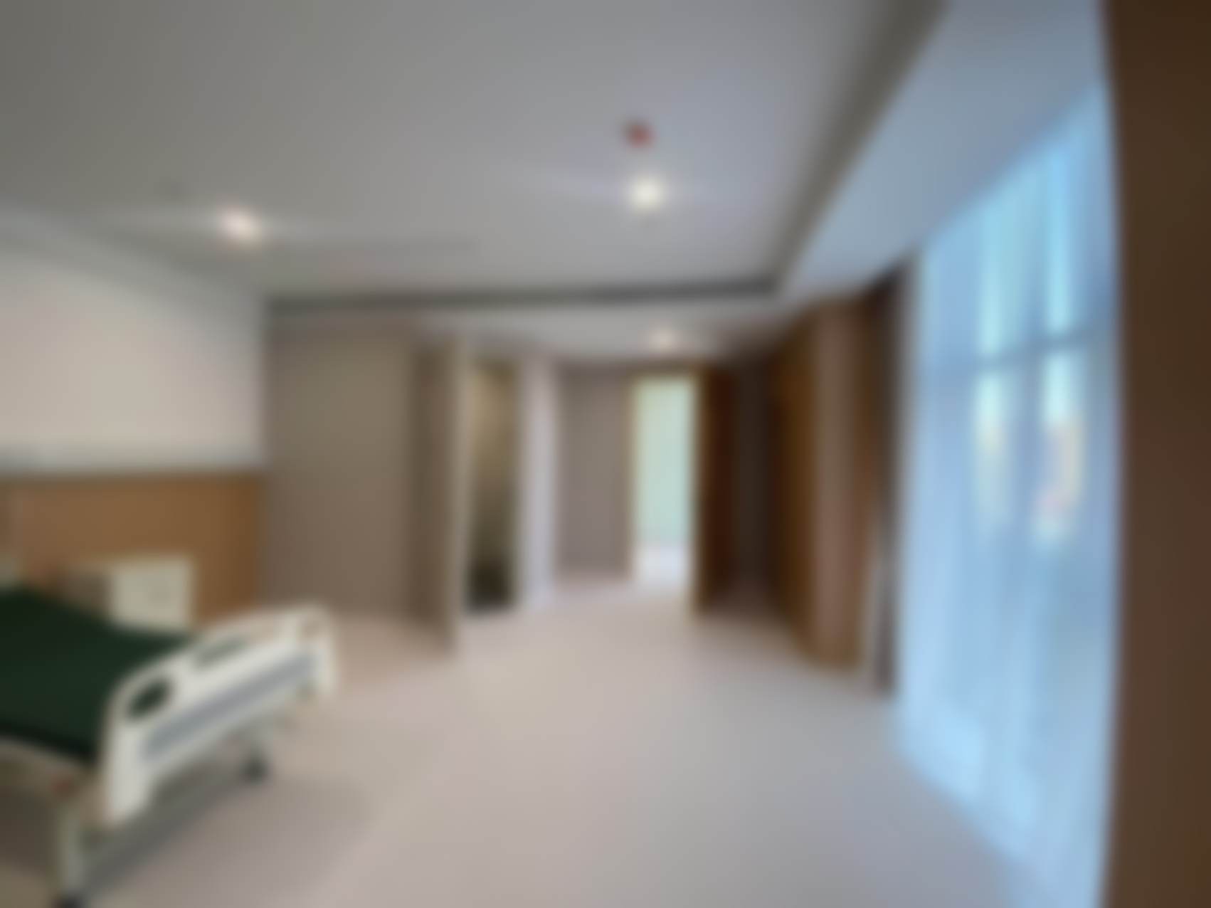 特色项目与精良技术