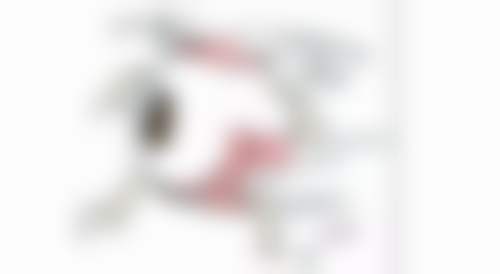 二、上海浦东爱尔眼科医院正规吗？来看看医院资质：