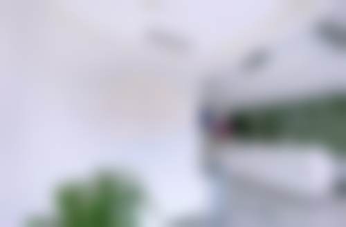 北京张菡丽格医疗美容诊所罗谦从医荣誉