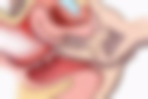 周口新东方医院医疗美容科营业时间