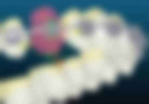 三、新郑仁合文昌路口腔诊所医生介绍: