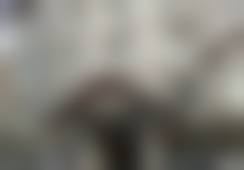 上海丽质医美嗨体熊猫1.0mL + 薇旖美胶原蛋白4mg项目的口碑如何？