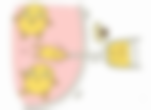 广州中科凯莱整形医院口碑如何？