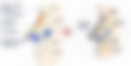 不同手术方式的长期成效对比