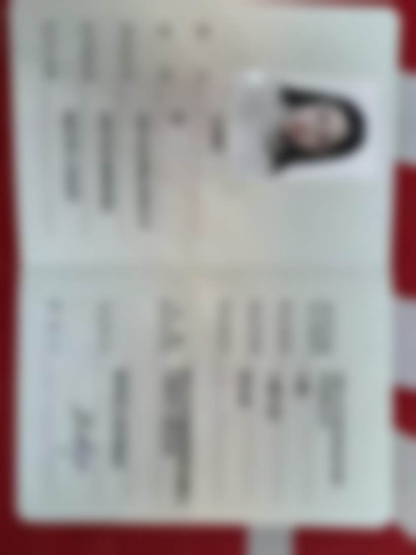 总结与行动指引