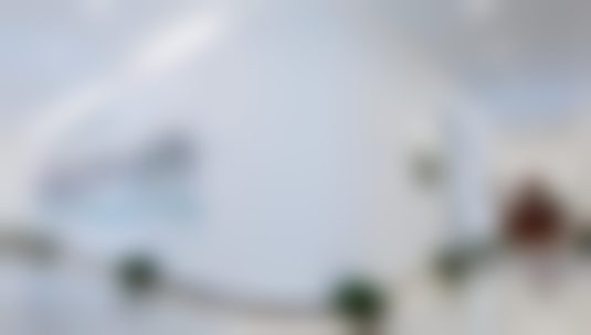 三、王自谦医生在医美领域技术特长