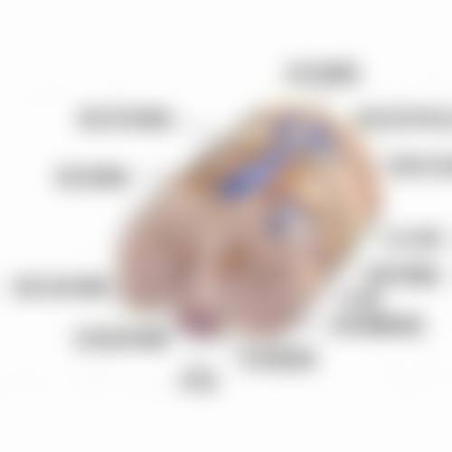 金华文荣医院整形美容科口碑如何？