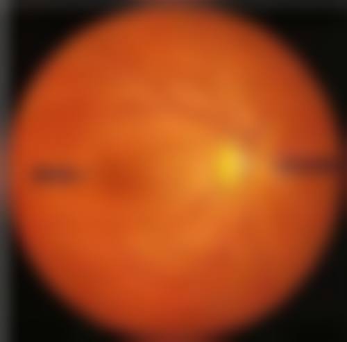 五、山东医学科学 院眼科整形医院基本信息：