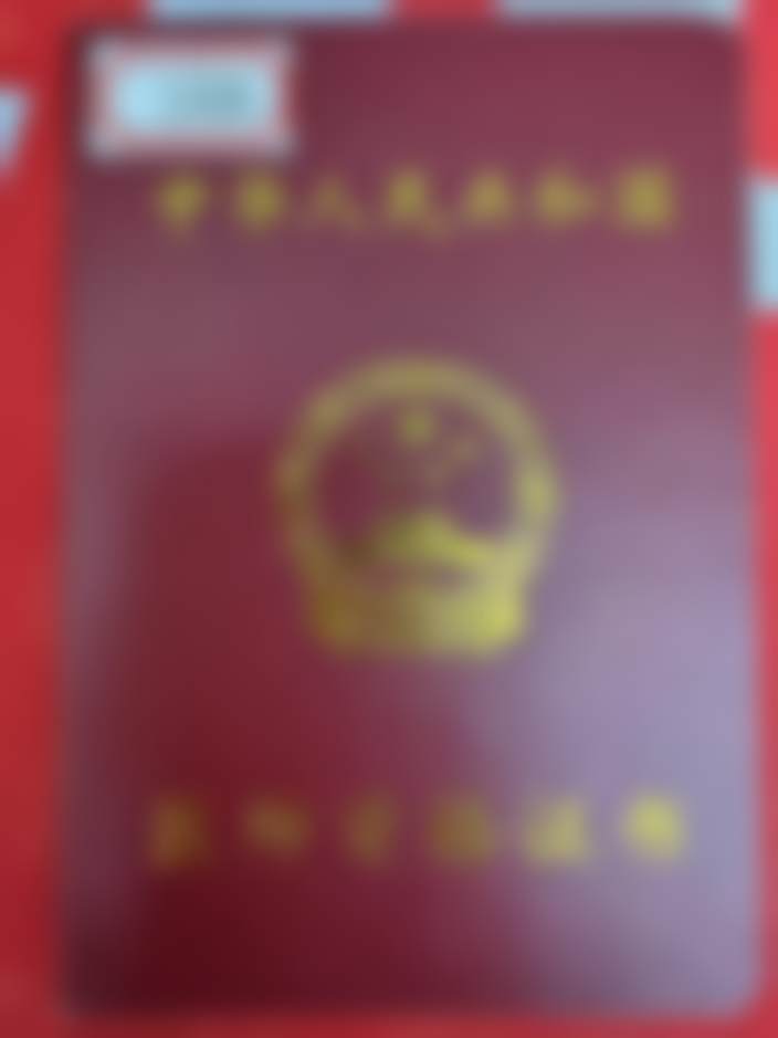 总结与行动指引