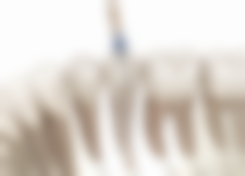 三、济南康亚鲍山店医生介绍: