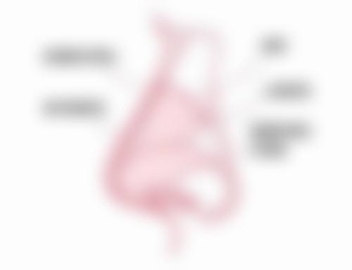 选择医院的相关信息