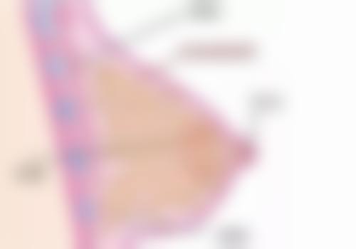 总结——天津菲丝澜医疗美容门诊部怎么样?
