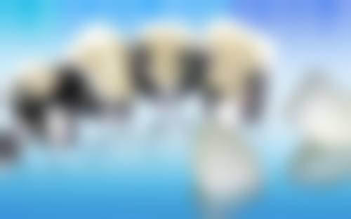 五、江津区李秀兰口腔诊所基本信息:
