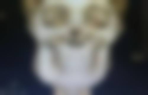 关于隆鼻后能否捏鼻子的问题
